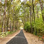 Planeta Glamping Zalesie Gorne