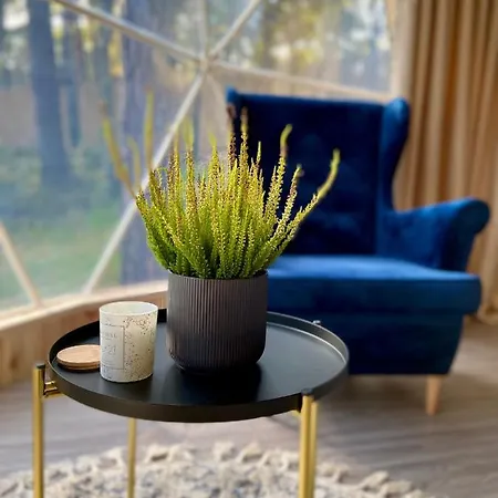 Planeta Glamping Glamping