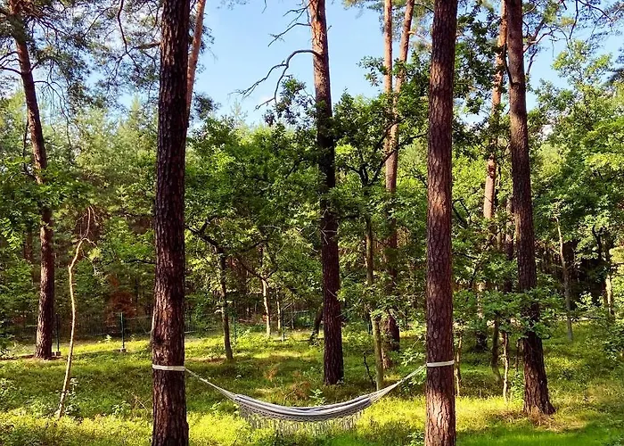 Planeta Glamping Zalesie Gorne