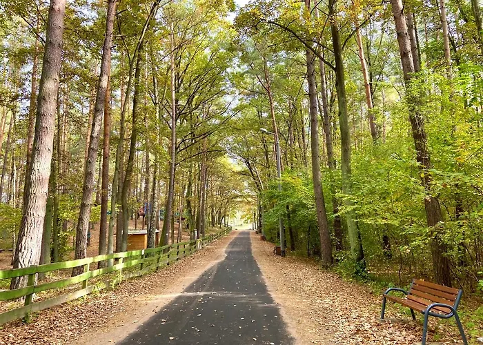 Planeta Glamping Zalesie Gorne